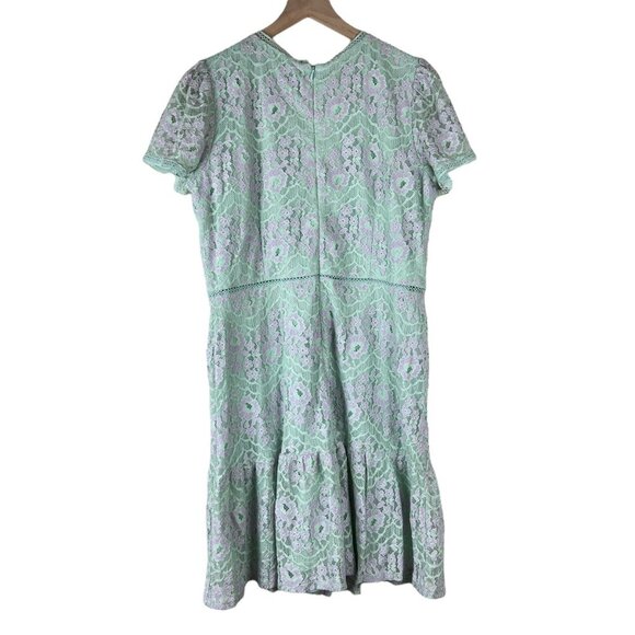 Tahari ASL Pistachio Lavender Embroidered Crochet Inset A-line Dress - Picture 6 of 6